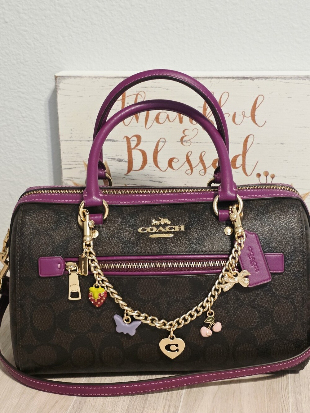 Coach RARE Rowan MEDIUM Crossbody Purse Bag Magenta Brown + Swagger Chain Charms